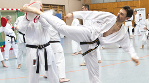 Karate Kumite